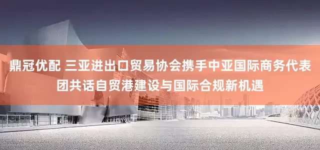 鼎冠优配 三亚进出口贸易协会携手中亚国际商务代表团共话自贸港建设与国际合规新机遇