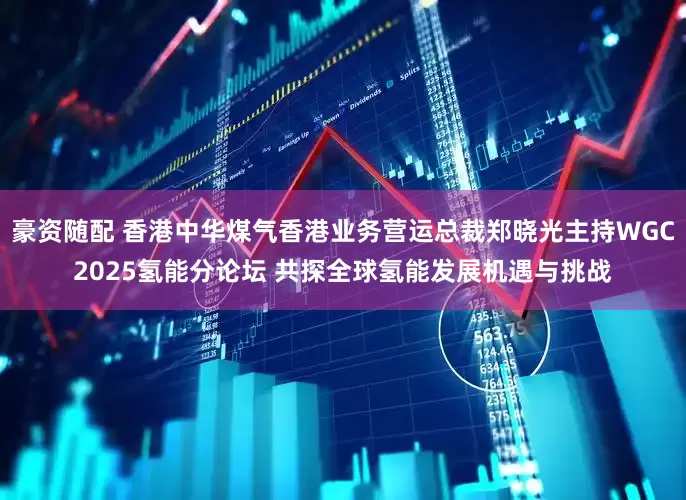 豪资随配 香港中华煤气香港业务营运总裁郑晓光主持WGC2025氢能分论坛 共探全球氢能发展机遇与挑战
